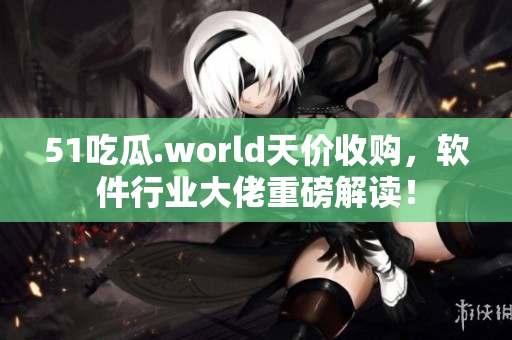 51吃瓜.world天价收购，软件行业大佬重磅解读！