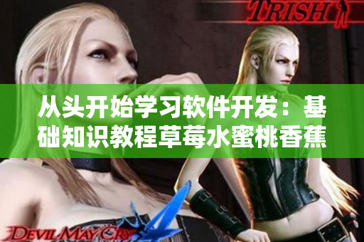 从头开始学习软件开发：基础知识教程草莓水蜜桃香蕉甜橙芒果
