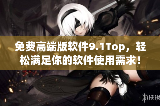 免费高端版软件9.1Top，轻松满足你的软件使用需求！