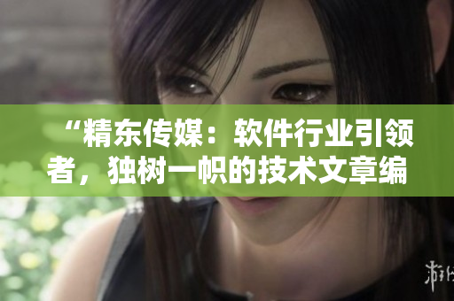 “精东传媒：软件行业引领者，独树一帜的技术文章编辑团队”