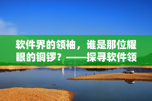 软件界的领袖，谁是那位耀眼的铜锣？——探寻软件领域的顶尖人物