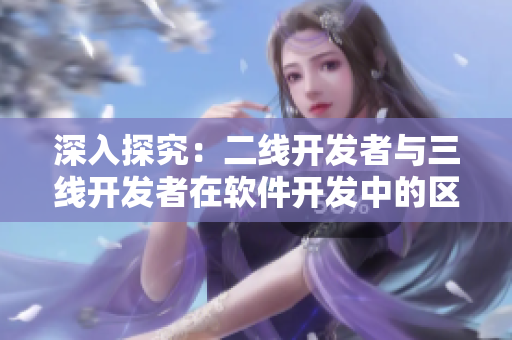 深入探究：二线开发者与三线开发者在软件开发中的区别