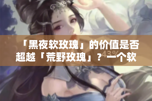 「黑夜软玫瑰」的价值是否超越「荒野玫瑰」？一个软件行业的比拟