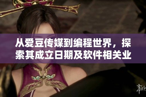 从爱豆传媒到编程世界，探索其成立日期及软件相关业务发展