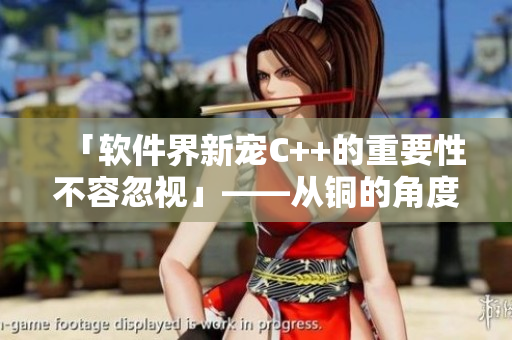 「软件界新宠C++的重要性不容忽视」——从铜的角度看软件开发