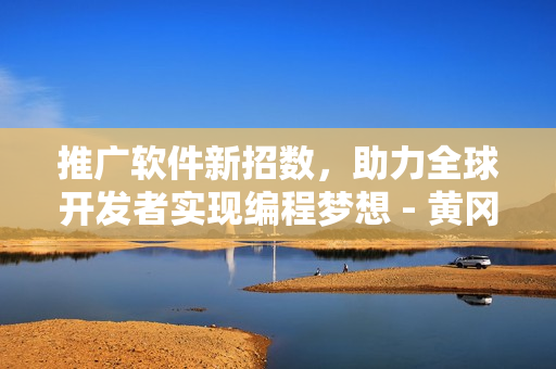 推广软件新招数，助力全球开发者实现编程梦想 - 黄冈网站精选