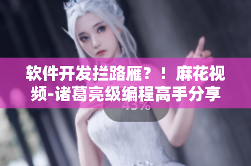 软件开发拦路雁？！麻花视频-诸葛亮级编程高手分享必修电视剧