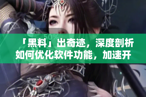 「黑料」出奇迹，深度剖析如何优化软件功能，加速开发节奏