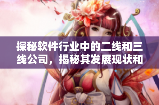 探秘软件行业中的二线和三线公司，揭秘其发展现状和未来前景