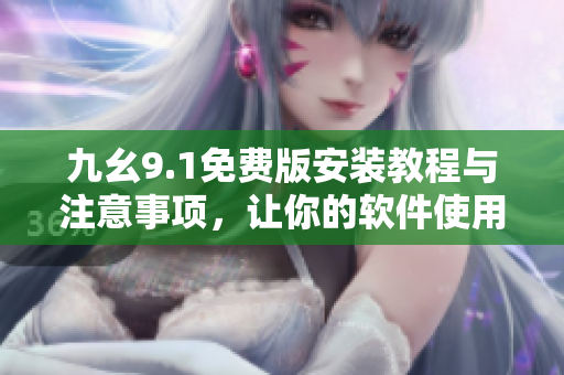 九幺9.1免费版安装教程与注意事项，让你的软件使用更顺畅！