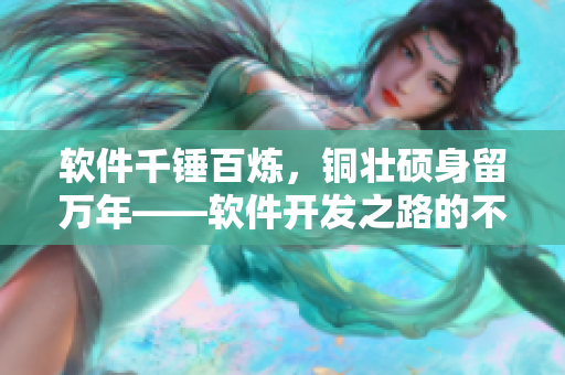 软件千锤百炼，铜壮硕身留万年——软件开发之路的不懈探索！