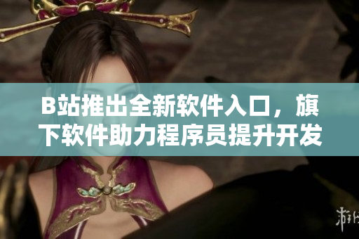 B站推出全新软件入口，旗下软件助力程序员提升开发效率！