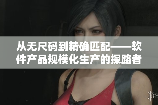 从无尺码到精确匹配——软件产品规模化生产的探路者
