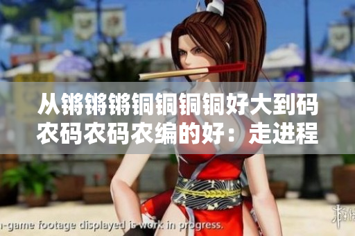 从锵锵锵铜铜铜铜好大到码农码农码农编的好：走进程序员的世界