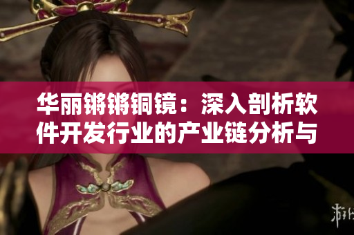 华丽锵锵铜镜：深入剖析软件开发行业的产业链分析与趋势预测