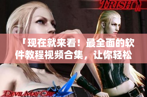 「现在就来看！最全面的软件教程视频合集，让你轻松掌握软件技巧」