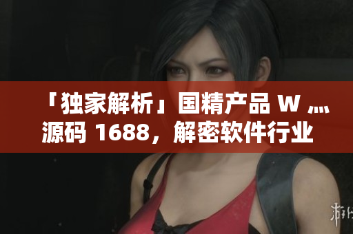 「独家解析」国精产品 W 灬源码 1688，解密软件行业神器