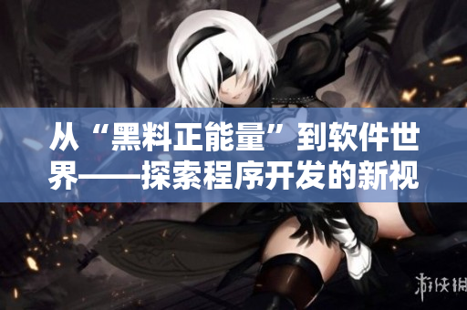 从“黑料正能量”到软件世界——探索程序开发的新视角
