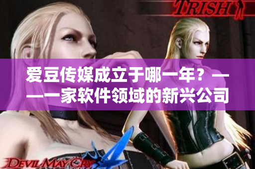 爱豆传媒成立于哪一年？——一家软件领域的新兴公司的诞生！