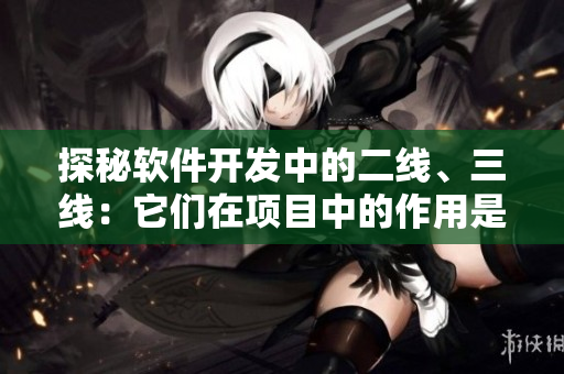 探秘软件开发中的二线、三线：它们在项目中的作用是什么？
