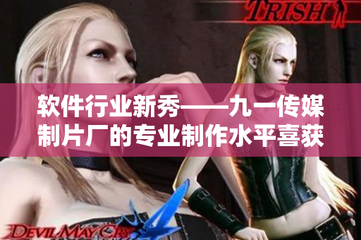 软件行业新秀——九一传媒制片厂的专业制作水平喜获业内好评！