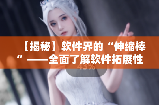 【揭秘】软件界的“伸缩棒”——全面了解软件拓展性的重要性与实践方法！