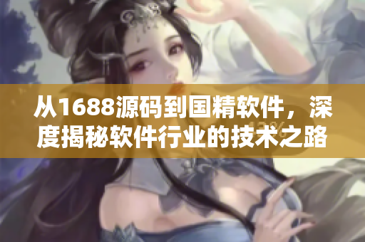 从1688源码到国精软件，深度揭秘软件行业的技术之路