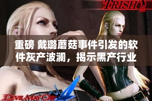 重磅 戴璐蘑菇事件引发的软件灰产波澜，揭示黑产行业深层次危机！