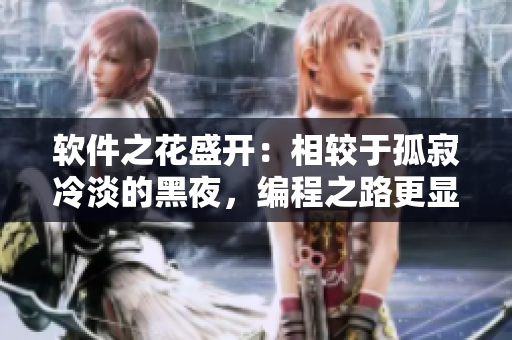软件之花盛开：相较于孤寂冷淡的黑夜，编程之路更显珍贵