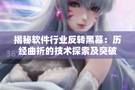 揭秘软件行业反转黑幕：历经曲折的技术探索及突破