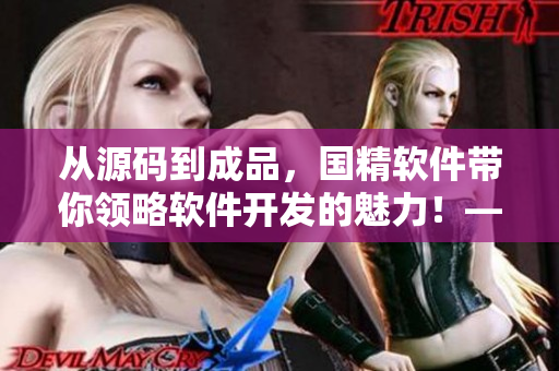 从源码到成品，国精软件带你领略软件开发的魅力！——国精软件源码解析