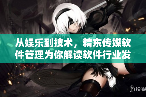 从娱乐到技术，精东传媒软件管理为你解读软件行业发展趋势