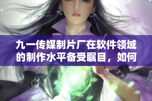 九一传媒制片厂在软件领域的制作水平备受瞩目，如何将制作水平提升？