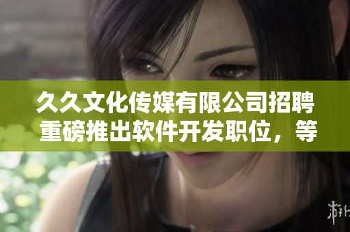 久久文化传媒有限公司招聘 重磅推出软件开发职位，等你来战！