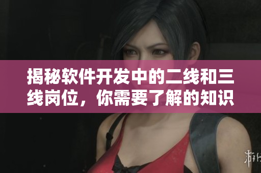 揭秘软件开发中的二线和三线岗位，你需要了解的知识点