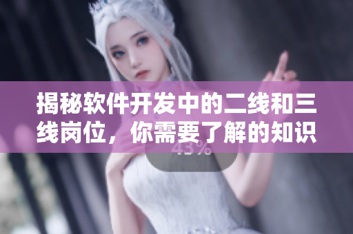 揭秘软件开发中的二线和三线岗位，你需要了解的知识点