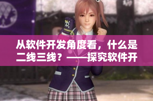 从软件开发角度看，什么是二线三线？——探究软件开发中常用的术语。