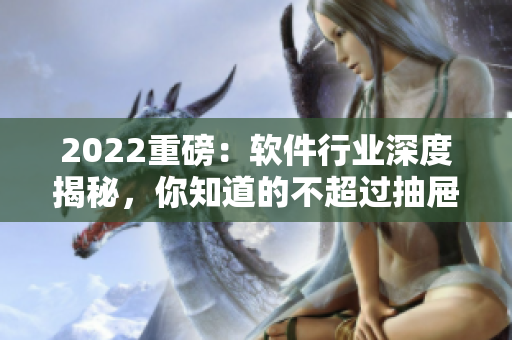 2022重磅：软件行业深度揭秘，你知道的不超过抽屉里的那些代码！