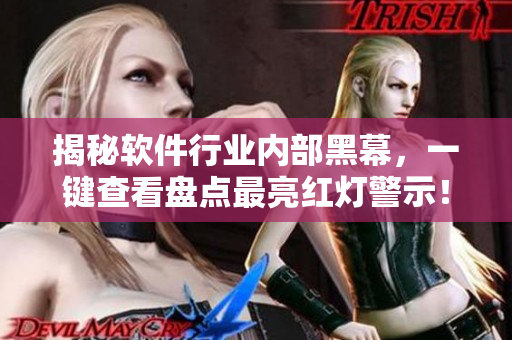 揭秘软件行业内部黑幕，一键查看盘点最亮红灯警示！