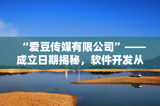 “爱豆传媒有限公司”——成立日期揭秘，软件开发从此引领潮流！