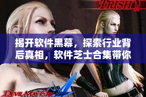 揭开软件黑幕,探索行业背后真相,软件芝士合集带你深入了解软件开发 揭开软件黑幕,探索行业背后真相,软件芝士合集带你深入了解软件开发
