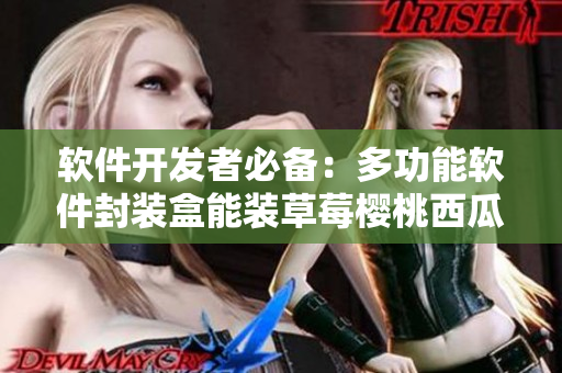 软件开发者必备：多功能软件封装盒能装草莓樱桃西瓜榴莲