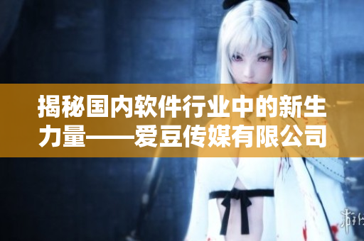 揭秘国内软件行业中的新生力量——爱豆传媒有限公司成立于何时？