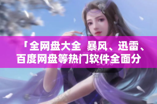 「全网盘大全  暴风、迅雷、百度网盘等热门软件全面分析」