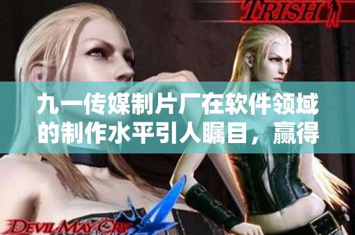 九一传媒制片厂在软件领域的制作水平引人瞩目，赢得广泛赞誉