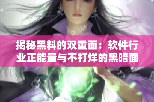 揭秘黑料的双重面：软件行业正能量与不打烊的黑暗面