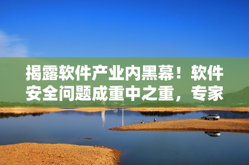 揭露软件产业内黑幕！软件安全问题成重中之重，专家呼吁加强监管！
