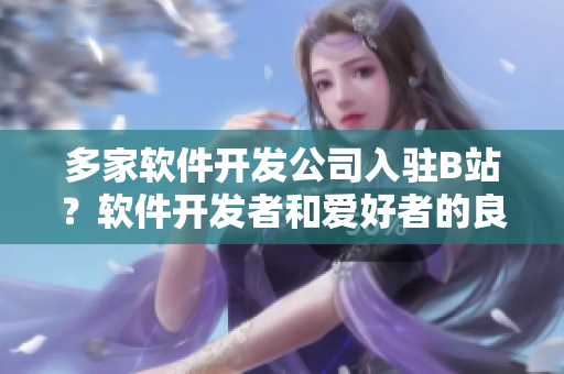 多家软件开发公司入驻B站？软件开发者和爱好者的良好交流平台！