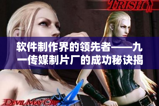 软件制作界的领先者——九一传媒制片厂的成功秘诀揭秘