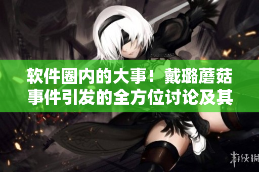 软件圈内的大事！戴璐蘑菇事件引发的全方位讨论及其对软件行业的影响